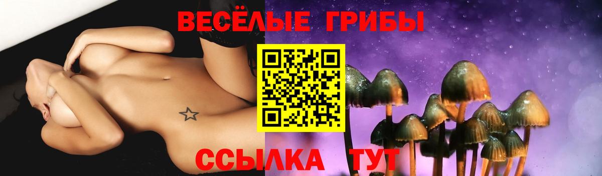 Галлюциногенные грибы прущие грибы  Вход с VPN  Великий Новгород 